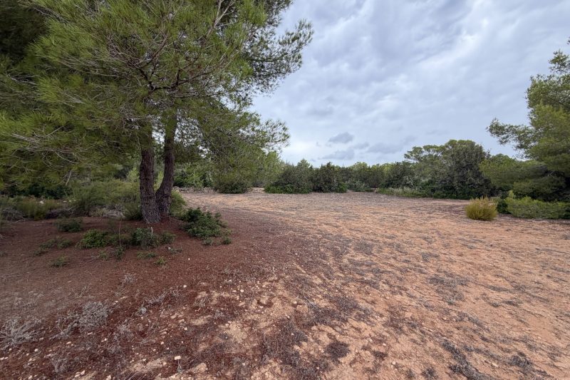 Building plot with a fully approved building licence - 4