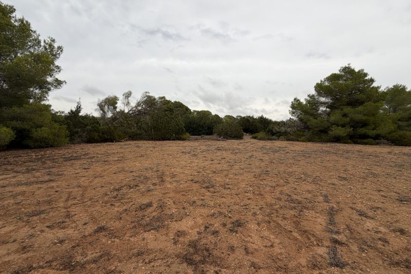 Building plot with a fully approved building licence - 5